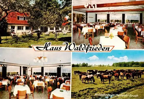 AK / Ansichtskarte  Duelmen Gasthaus Waldfrieden am Wildpark Gastraeume Wildpferde Duelmen