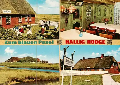 AK / Ansichtskarte  Hallig_Hooge Gaststaette zum blauen Pesel Backenswarft Hallig Hooge