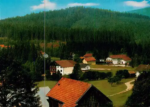 AK / Ansichtskarte  Lehen_Regen Gasthaus Pension Karl Denk Lehen Regen