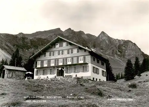 AK / Ansichtskarte  Au_Bregenzerwald Alpengasthof Edelweiss mit Klippern Au_Bregenzerwald