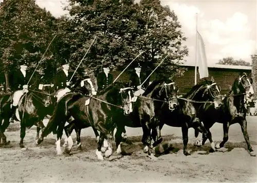 AK / Ansichtskarte 73895218 Warendorf Hengstparade Landgestuet Warendorf