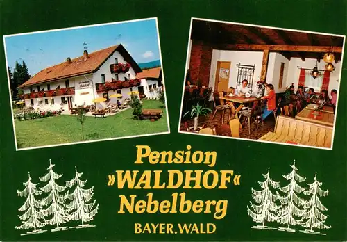 AK / Ansichtskarte  Langdorf_Regen Pension Waldhof Nebelberg Gaststube Langdorf Regen