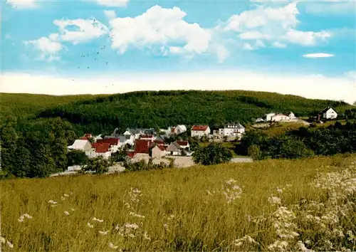 AK / Ansichtskarte  Hasselborn_Waldsolms Panorama 