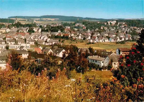 AK / Ansichtskarte  Muenchberg__Oberfranken Panorama 