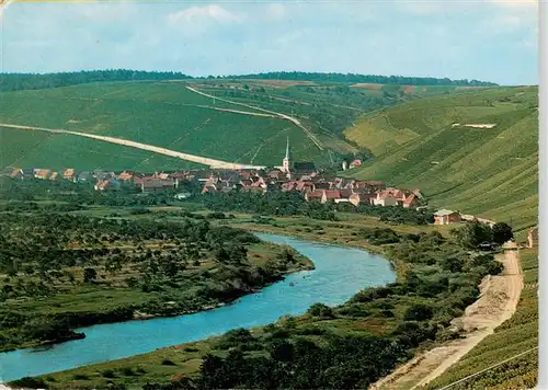 AK / Ansichtskarte  Escherndorf_Volkach Panorama Blick ueber den Main Weinberge 