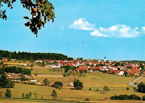 AK / Ansichtskarte  Krumbach_Limbach Panorama Krumbach Limbach