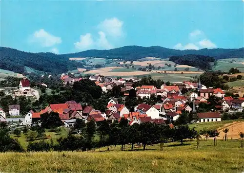 AK / Ansichtskarte  Nieder-Liebersbach_Birkenau Panorama 