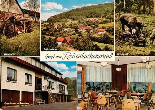 AK / Ansichtskarte  Grund_Reisenbach Gasthaus Pension zum Grund Reisenbachergrund Muehle Wildpark Wildschweine Grund Reisenbach