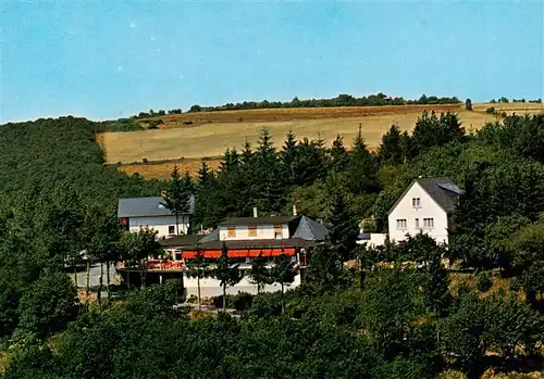 AK / Ansichtskarte  Presberg_Rheingau_Ruedesheim Gaststaette Rheingauer Alp Panorama 