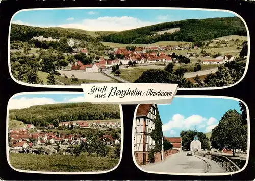 AK / Ansichtskarte  Bergheim_Langen_Hammersbach_Hessen Panorama Ortsansicht Strase 