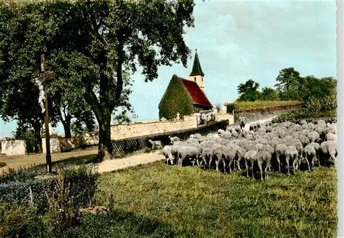 AK / Ansichtskarte 73895541 Unterboihingen_Wendlingen_Neckar Friedhofkapelle Schafherde 