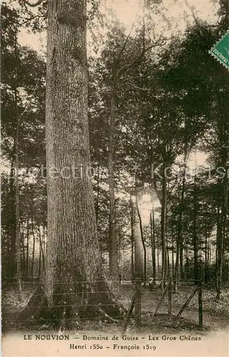 AK / Ansichtskarte  Baeume_Trees_Arbres_Arboles Nouvion Domaine de Guise Les Gros Chenes  