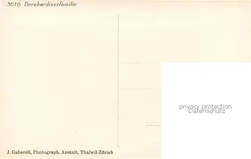 AK / Ansichtskarte  Bernhardiner J.Gaberell Nr.5616  Hunde  