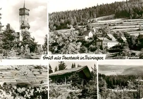 AK / Ansichtskarte  Deesbach Froebelturm Ferienheim Haxenkanzel Blick vom Froebelturm Deesbach