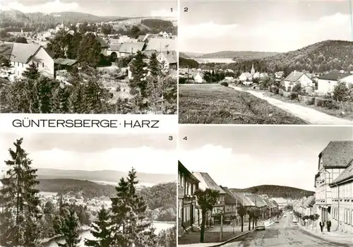 AK / Ansichtskarte  Guentersberge Teilansichten Blick von der Schoenemannsruh Marktstrasse Guentersberge