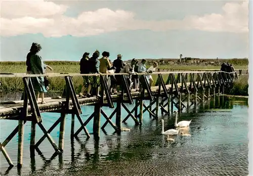 AK / Ansichtskarte 73895824 Bad_Buchau_Federsee Moorheilbad Laufsteg zum Federsee Bad_Buchau_Federsee