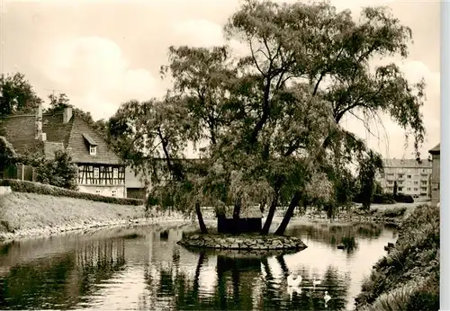 AK / Ansichtskarte  Meuselwitz Muehlteich  Meuselwitz