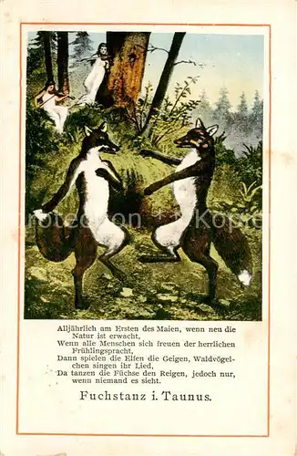 AK / Ansichtskarte  Fuchs_Tiere Fuchstanz i. Taunus 