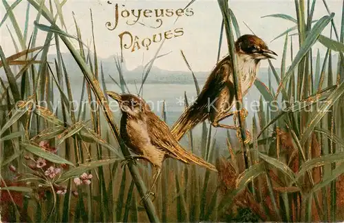 AK / Ansichtskarte  Voegel_Birds_Oiseaux Lausann Joyeuses Paques 