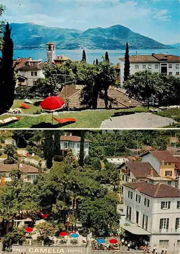 AK / Ansichtskarte  Brissago_Lago_Maggiore_TI Albergo Camelia Hotel 