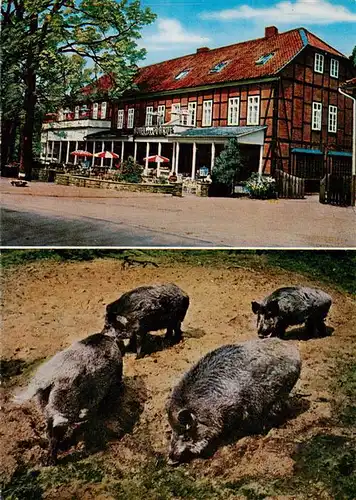 AK / Ansichtskarte 73896314 Goehrde Hotel zur Goehrde Naturpark Wildschweine Goehrde
