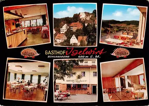 AK / Ansichtskarte  Schnaittach Gasthof Igelwirt Gastraeume Terrasse Schlossberg Schnaittach