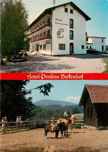 AK / Ansichtskarte  Ranfels Hotel Restaurant Birkenhof Ponyreiten Ranfels