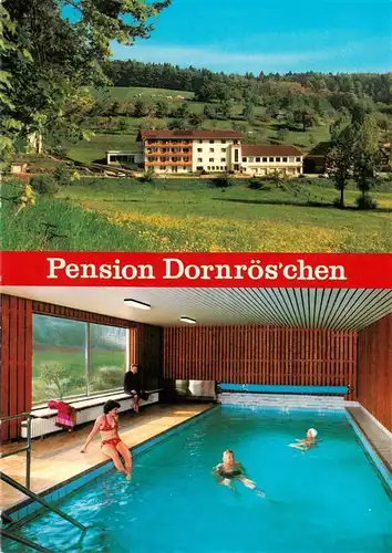 AK / Ansichtskarte  Hoechst_Odenwald Pension Dornroeschen Gasthaus Cafe Hallenbad Hoechst_Odenwald