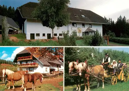 AK / Ansichtskarte  Dresselbach Gasthaus August Kiefer Pferdekoppel Hochzeitskutsche Dresselbach