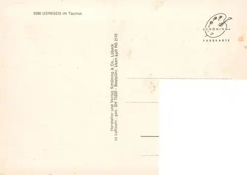 AK / Ansichtskarte  Usingen Fliegeraufnahme Usingen