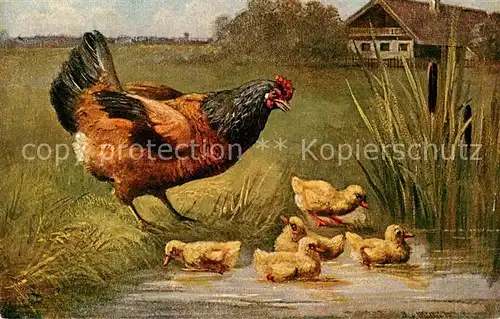 AK / Ansichtskarte 73896838 Landwirtschaft Huhn Kuecken 