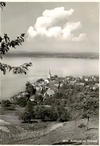 AK / Ansichtskarte  Berlingen_Untersee Panorama Berlingen Untersee