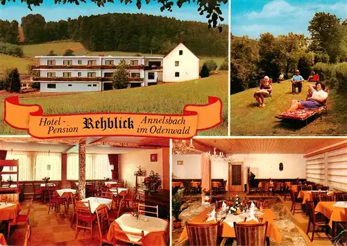 AK / Ansichtskarte 73896965 Annelsbach_Hoechst _Odenwald Hotel Pension Rehblick Gastraeume Liegewiese 