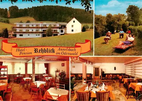 AK / Ansichtskarte  Annelsbach_Hoechst _Odenwald Hotel Pension Rehblick Gastraeume Liegewiese 