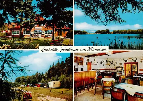 AK / Ansichtskarte 73897153 Heemsen Gaststaette Forsthaus am Haemelsee Panorama Gastraum Heemsen