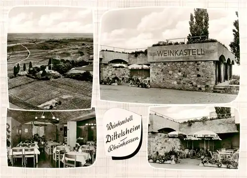 AK / Ansichtskarte  Dittelsheim Panorama Weinkastell Dittelsheim Gastraum Terrasse Dittelsheim