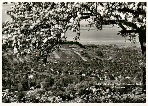 AK / Ansichtskarte  Thal_Bodensee_SG Panorama mit Steinernem Tisch 