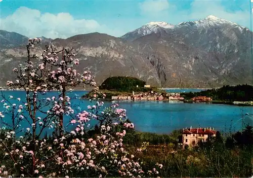 AK / Ansichtskarte  Griante_Cadenabbia_Lago_di_Como con vista di Bellagio Griante_Cadenabbia