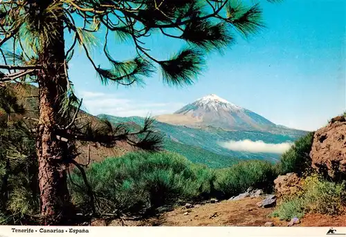 AK / Ansichtskarte  Tenerife_Islas_Canarias_Spanien_ES Pico del Teide desde el Monte de la Esperanza 