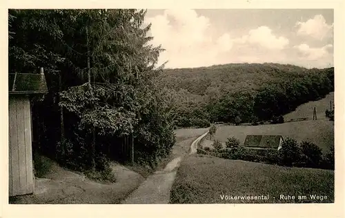 AK / Ansichtskarte  Voelkerwiesental_Rengsdorf Ruhe am Wege Landschaftspanorama 