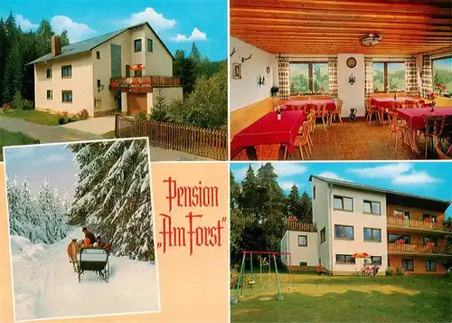 AK / Ansichtskarte 73898332 Alexandersbad_Bad Pension Amt Forst Gastraum Pferdeschlitten Alexandersbad_Bad