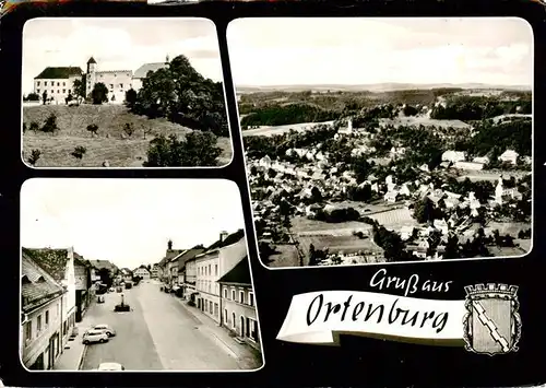 AK / Ansichtskarte  Ortenburg_Niederbayern Schloss Fliegeraufnahme Strassenparti 