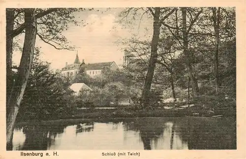 AK / Ansichtskarte  Ilsenburg_Harz Blick zum Schloss Ilsenburg Harz