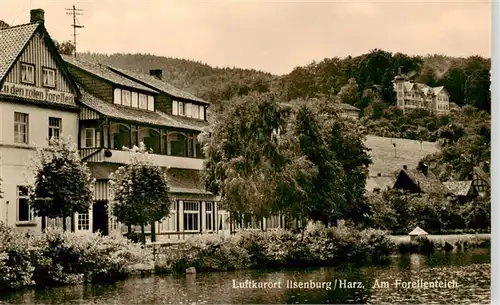 AK / Ansichtskarte  Ilsenburg_Harz Partie am Forellenteich Ilsenburg Harz