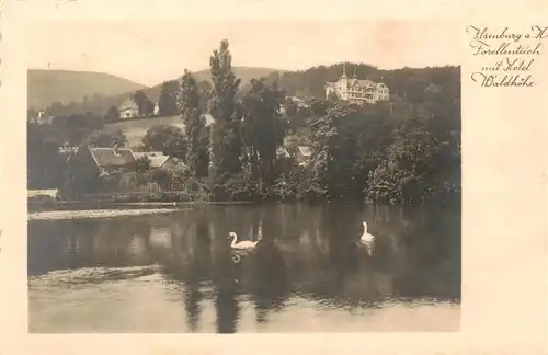 AK / Ansichtskarte 73898394 Ilsenburg_Harz Forellenteich mit Hotel Waldhoehe Ilsenburg Harz