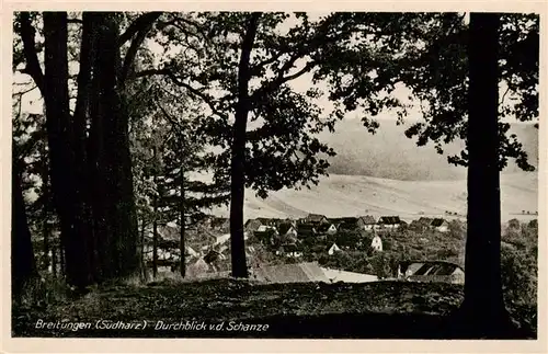 AK / Ansichtskarte  Breitungen_Rossla Durchblick von der Schanze Breitungen_Rossla