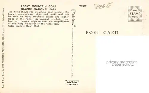 AK / Ansichtskarte 73898535 Ziege_Goat_Chevre Rocky Mountain Goat Glacier National Park 