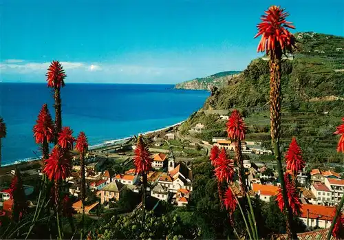 AK / Ansichtskarte  Ribeira_Brava Panorama Ribeira Brava