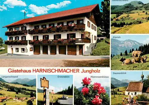 AK / Ansichtskarte  Jungholz_Tirol_AT Gaestehaus Harnischmacher Panorama Alpen Alpenrosen Kapelle Almvieh 