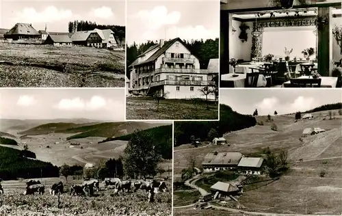 AK / Ansichtskarte  Schwaerzenbach_Titisee-Neustadt Pension Haus Feldbergblick Gastraum Panorama Teilansichten Schwaerzenbach